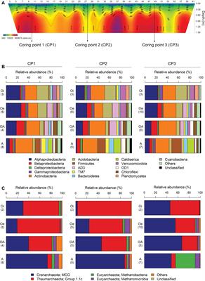 Distinct Taxonomic and Functional Profiles of the Microbiome Associated With Different Soil Horizons of a Moist Tussock Tundra in Alaska